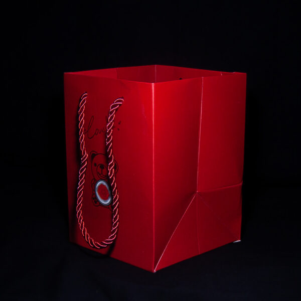 P1170317 Ursul cu Amintiri