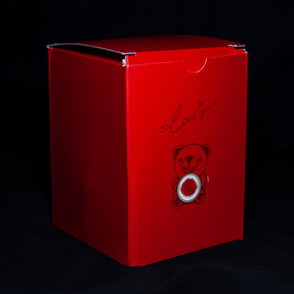 P1170322 Ursul cu Amintiri